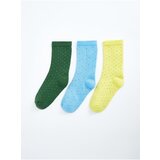 LC Waikiki 3-Pack Boy Patterned Socks | shoptok.hr