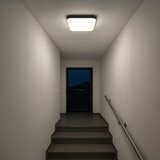  LED plafonsko svetlo NEMO LED/36W/230V 50x50 cm crno | Eponuda.com