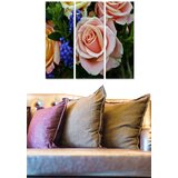 Wallity Set slika MDF173807, 3 dijela | Eponuda.ba