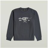 G-star Raw Puloverji RUNNING DOG BACK GR R S Siva Cene