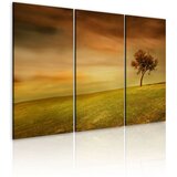  Slika - A lonely tree on a meadow 60x40 Cijene