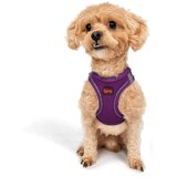 Paws & Whiskers Am za pse Air-Mesh, ljubičaste | Eponuda.ba