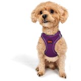 Paws & Whiskers am za pse air-mesh, ljubičasti | Eponuda.com