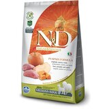 Farmina Pumpkin Dog Adult Medium/Maxi Grain Free divji prašič in jabolko 2,5 kg | Shoptok.si