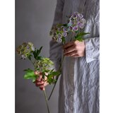 Bloomingville Umjetna biljka (visina 49 cm) Throatwort – | shoptok.hr
