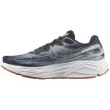 Salomon muške Aero Glide patike