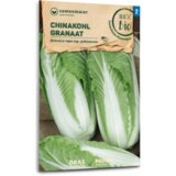 Samen Maier EKOLOŠKO kitajsko zelje "Granaat" | Shoptok.si