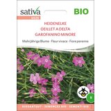 Sativa Ekološka trajnica "Navadni nagelj" Cene
