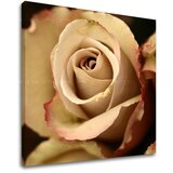  Slike na platnu cveće (moderne slike na platnu) | ePonuda.com