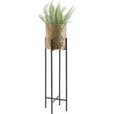 Ambia Home CVETLIČNI LONČEK | Shoptok.si