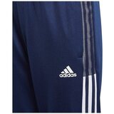 Adidas Tiro 21 Track Pant Tamno plava | shoptok.hr