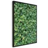  Slika - Thick Ivy (1 Part) Vertical 80x120 | shoptok.hr