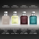 Calvin Klein Eternity for Men Suede Essence parfem intense za muškarce 100 ml | shoptok.hr