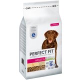 PerfectFIT Adult pes (>10kg) - Varčno pakiranje: 2 x 6 kg | Shoptok.si