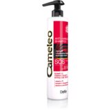 Delia Šampon protiv opadanja kose CAMELEO SOS 250ml Cijene