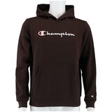 Champion Big Logo Print Smeđa Cijene
