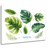  Slike na platnu z besedilom Tropical set (moderne slike z) Cene