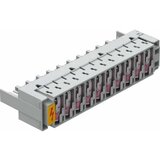 OBO Bettermann LSA-B-MAG 5084020 Pribor za montažu Cijene