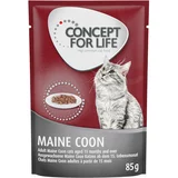 Concept for Life 10 € popusta na 48 x 85 g mokro hrano! - Maine Coon Adult (ragu)