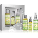 Saloos 3 Steps To Beauty Lemon Tea Tree darilni set za problematično in mastno kožo Cene