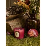 Sinsay Svijeća Autumn Harvest | shoptok.hr
