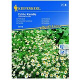 KIEPENKERL Profi-Line Cvetlična semena Kamilica (Chamomilla recutita, Bela) | Shoptok.si