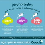 Povodac za pse Coachi Plava trening | shoptok.hr