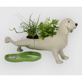 bitten Peeing Dog Planter beige | Shoptok.si