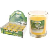  CITRONELA U STAKLENCI 7*8CM | Eponuda.ba