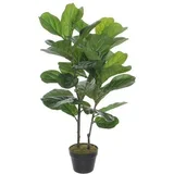 1040427 Cvet u saksiji ficus lyrata 100cm - green - edl ( 040433 )