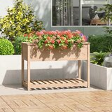 vidaXL Sadilica s policom 111 5x54x81 cm od masivne borovine | shoptok.hr
