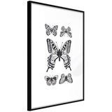  Poster - Butterfly Collection IV 40x60 Cijene