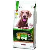 Grain Free Adult perutnina