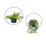Aberto Design set žardinjera SEH-4560, 2 dijela, crne boje Cijene