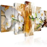 Slika - Brown Paint and Orchid 100x50 Cijene