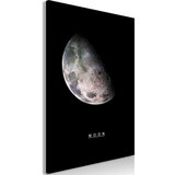  Slika - Moon (1 Part) Vertical 40x60 | shoptok.hr