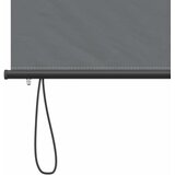Rolo zavjesa Svjetlosiva 60 x 250 cm Tkanina i aluminij | shoptok.hr