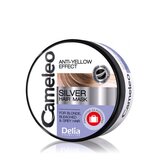 Delia CAMELEO BB - ANTI-YELLOW EFFECT - Silver maska za plavu, blajhanu i sedu kosu 200ml Cijene