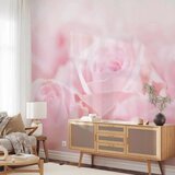 Artgeist Fototapeta Ocean Of Roses, 100x70cm | Shoptok.si