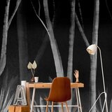  Foto tapeta - Noise of the forest at night - minimalist landscape of white trees on a black background 150x105 | shoptok.hr