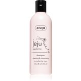 Ziaja Jeju Young Skin šampon za čišćenje s hidratantnim učinkom 300 ml | shoptok.hr