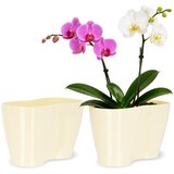 KADAX cvetlični lonec, cvetlični lonec, plastični cvetlični lonec, orhideja, 23 cm, krem, (5000346046) Slike