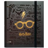 Grupo Erik Editores S. L. Harry Potter - Registrator 4R - Harry Potter, Harry Potter, Glasses | ePonuda.com
