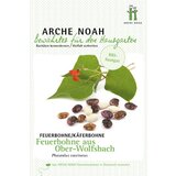 Arche Noah Ekološki laški fižol "Aus Ober-Wolfsbach" Cene