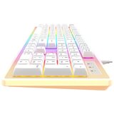 USB RGB tastatura Havit KB876L