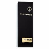 Montale unisex parfem Oudmazing 100ml EDP | ePonuda.com