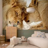Artgeist Fototapeta Lion Tenderness, 150x105cm | Shoptok.si