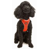 Paws & Whiskers Am za pse Air-Mesh, Narandžasti | Eponuda.com