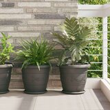  Lončki za rastline 24 pcs Črna Ø 34 x 28 cm Plastika, (5000207846) | Shoptok.si