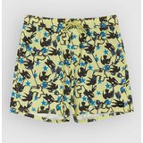 Rvca AF Dive In Elastic 17 Boardshorts beechnut | Shoptok.si